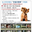 도그파크랜드 이미지