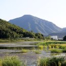 동송랜드 이미지