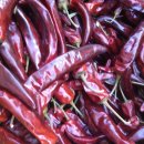 송이네농장 이미지