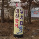 태산 낚시터
