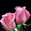 은빛여울 이미지