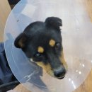 지수동물병원 이미지