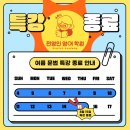 전영인영어학원