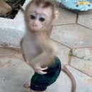 띵까띵까 | ★ 다정사진과 취업사진 후기 ★ (내돈내산)