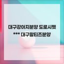 대구강아지분양 도로시펫 | 대구강아지분양 도로시펫에서 대구말티즈분양