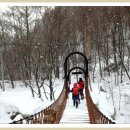 2020-01-19(일)강원도 오대산 월정사 전나무숲길-평창 태기산 눈꽃관광 케이블카 여행 이미지
