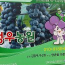 정우농원