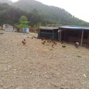 가리산농장 이미지