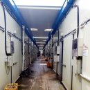 왕림농장 이미지