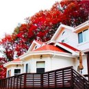 그래그래펜션 이미지