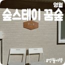 무릉도원면-49 이미지