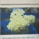 이현숙 농장 이미지