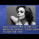 카니발의 아침 이미지