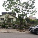 홍박사공인중개사사무소 이미지