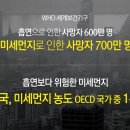 오투클린 이미지