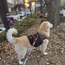 점말어린이공원 이미지