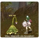 라그라시아