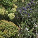 잠실 제1수영장 이미지