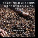 에티오피아 게라 G1 워시드 커피원두, 짐마 게라의 향미와 등급·가공·추출 정보 이미지