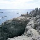 부산광역시 영도구 대교로 이미지