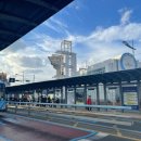 구포시장1 이미지