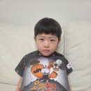 다온유치원 | 📚 다온이의 최애 그림책, 오싹오싹 시리즈 3종 후기