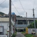 노들강변식당 | 부산 기장 맛집 노들강변 촌닭양념구이 버섯전골 내돈내산 후기(예약필슈)