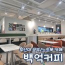 백억커피 부산대 공부 노트북 카페 추천 내돈내산