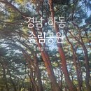하동맑은물 | 경남 하동 가볼만한곳 송림공원 | 숲해설 프로그램 참여 후기