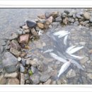 승마펜션 이미지