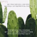 테러블스튜디오