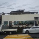 카페1192 | 제주애견동반식당 한적한 분위기 속 푸짐한 맛집 세프1192 레스토랑 후기