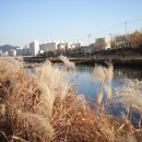 패랭이공원 이미지