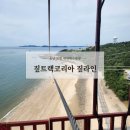 애견코리아 | 충남 보령여행 대천 짚라인 해수욕장 뷰가 좋은 짚트랙코리아 애견동반 탑승 후기