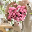 하엘 이미지