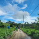 상석목장 이미지