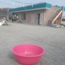 문막셀프세차장 이미지