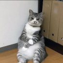 강릉동해막국수 이미지