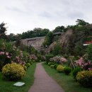 미하가든 이미지