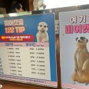 멍이와쿤이 이미지