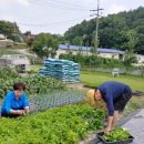 논산시 벌곡면 주빌리너싱홈 이미지