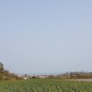 귀덕귀덕 이미지