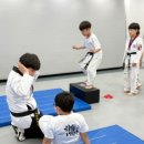 안성 우리아이 태권도장 이미지