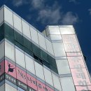 창원 발레학원에서 시작한 나의 첫 발레, 나비쥬발레학원 솔직 후기
