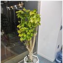 포유종합부동산중개사무소 | 대학동부동산 홍일부동산과 함께한 믿음직한 부동산 중개 경험