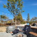 탄금호피크닉공원 3 이미지