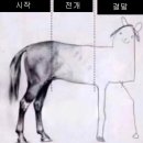 [남부당안 후기] 1화 난양 사신 사건, 정우혜 수난시대 with금쪽이