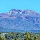 한라산농장 이미지