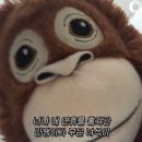 무념무상 네이버블로그