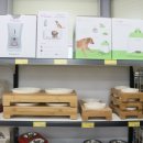 펫넘버원 이미지